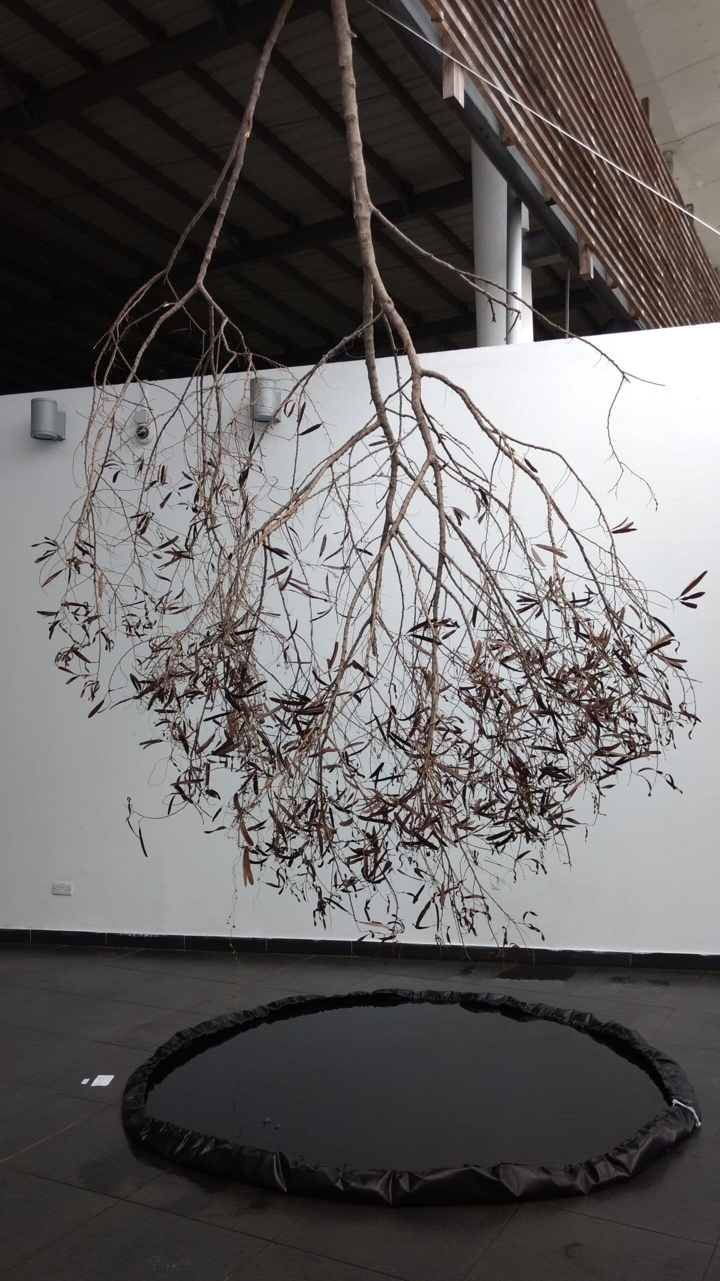 Identity II by Gunjan Tyagi, Site-Specific Installation, 2017