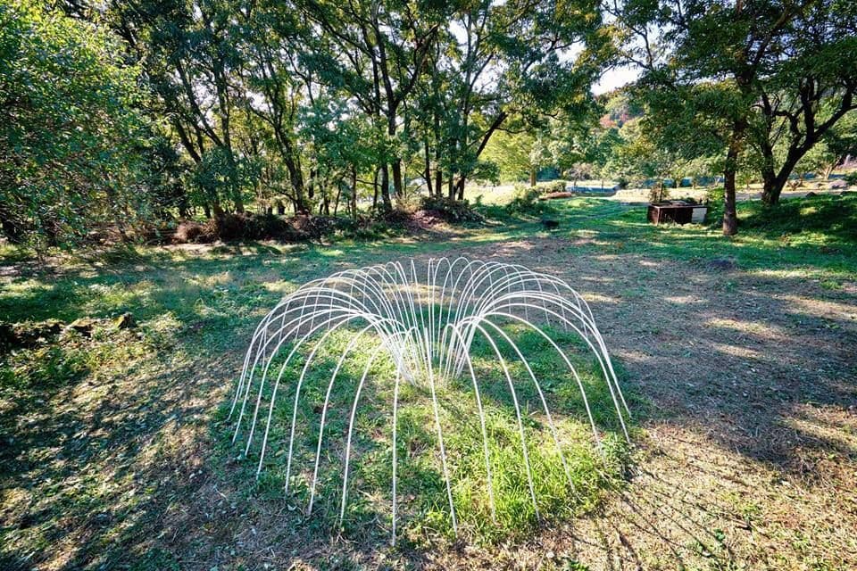 Nature Spring by Gunjan Tyagi, Nature Art Installation, 2016