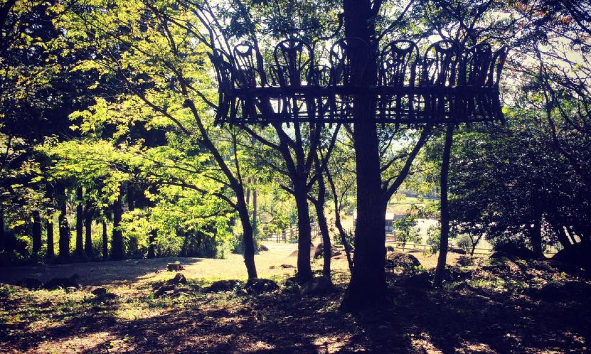 14956582_824235174345621_2408058476569392446_n