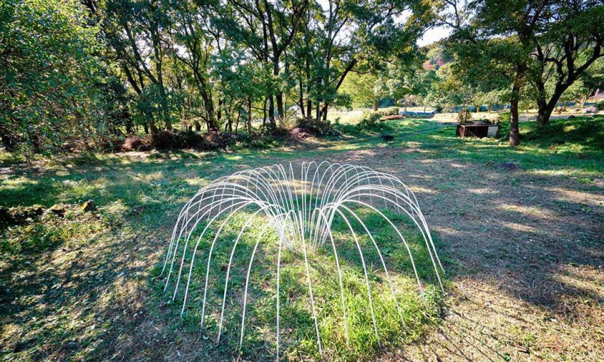 15179063_1846450188971671_4964575010036031371_n