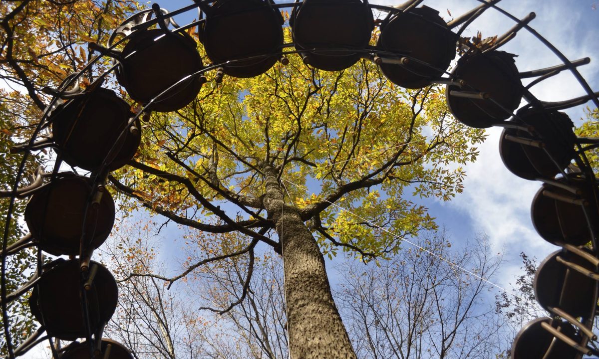 15252655_1007404379387052_5377111060258381107_o