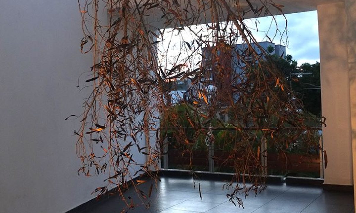 17917472_10209954212351742_7485058413378314254_o