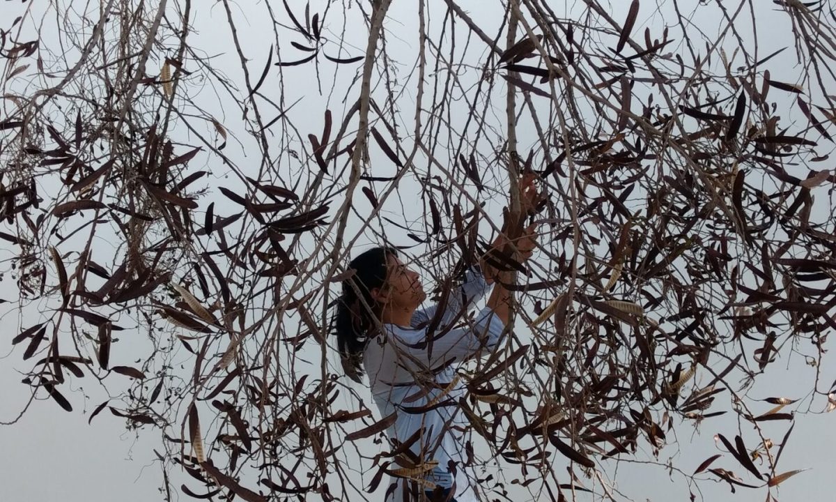 IMG_20170412_161058466_HDR