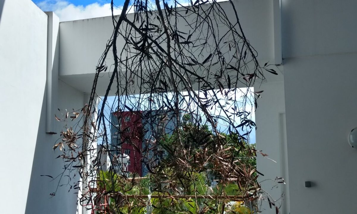 IMG_20170413_120937411_HDR