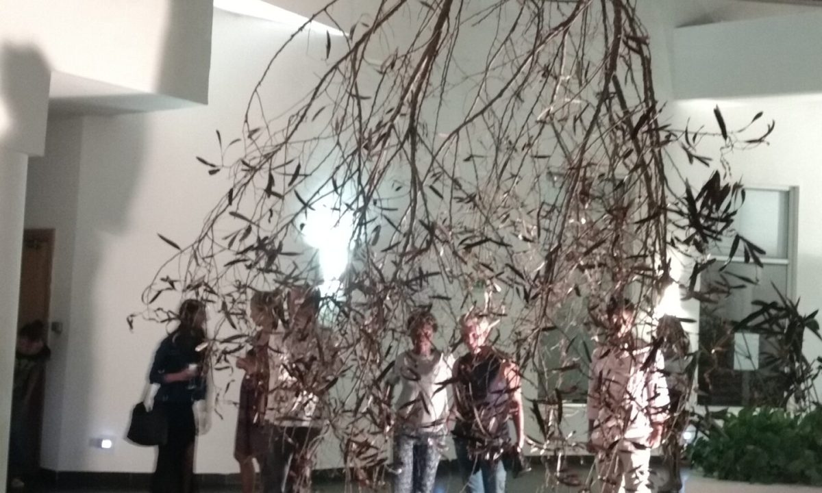 IMG_20170414_192734329