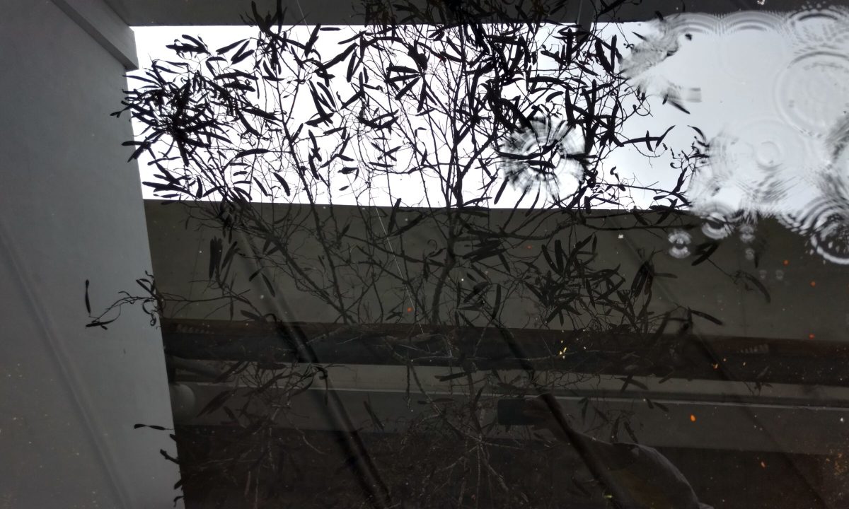 IMG_20170415_141402578_HDR