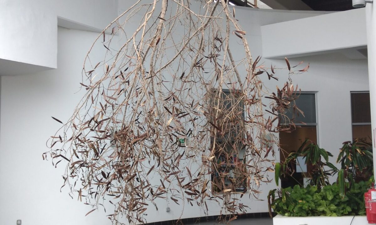 IMG_20170415_141534914