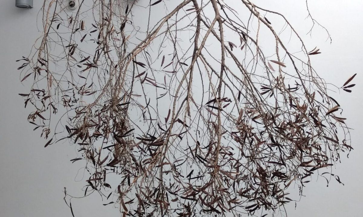 IMG_20170415_141809662