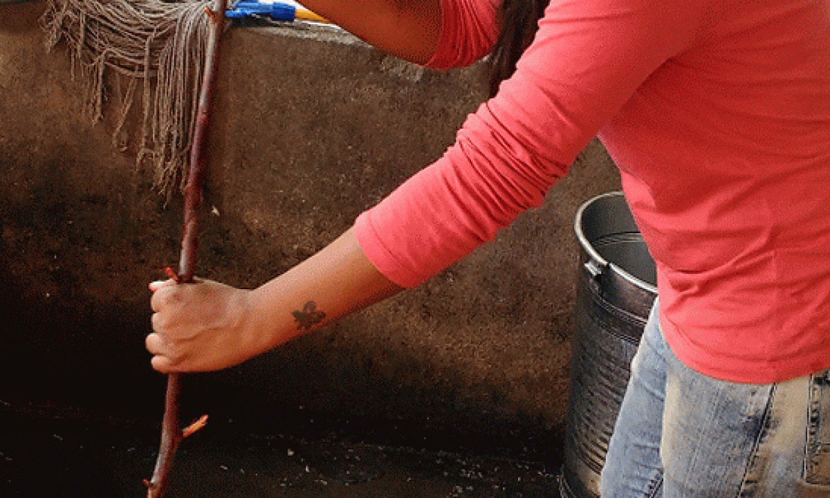 P_20151216_152844-ANIMATION