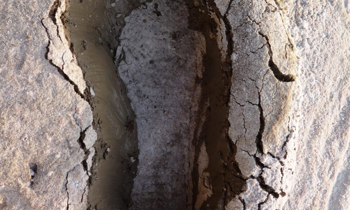 Walking in others shoe